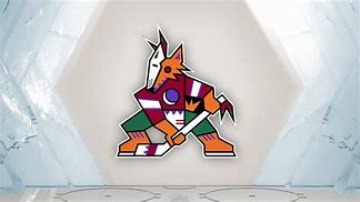 Image result for CT Coyotes Hockey