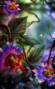Image result for Unity Bloom iPhone Wallpaper