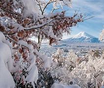 Image result for Fuji Winter Snow Lake