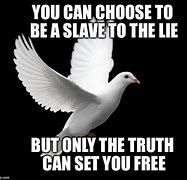 Image result for Dove Meme