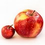 Image result for Small Size Apple
