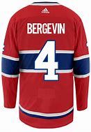 Image result for Marc Bergevin Suits