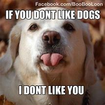 Image result for healthy dogs meme love