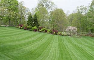 Image result for 5000 Square Foot Lawn