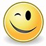 Image result for Sarcastic Happy Face