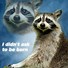 Image result for Raccoon Memes Clean