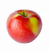 Image result for Winnipeg Apple Tree