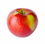 Image result for Apple On a Tree