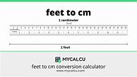 Image result for Foot to Centimeters