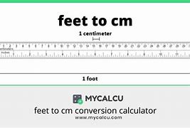 Image result for Feet in Cm