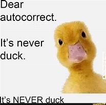 Image result for Its Never Ducking Meme