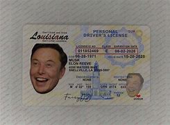 Image result for Louisiana ID Examples