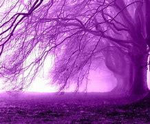 Image result for Purple Phone Case