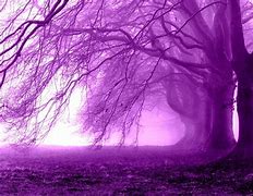 Image result for Pastel Purple Art