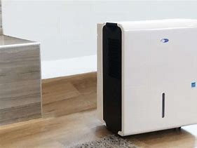 Image result for What Is the Best Air Purifier