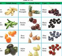 Image result for Fruit Categories