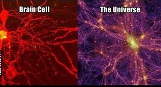 Image result for Brain Matter Universe