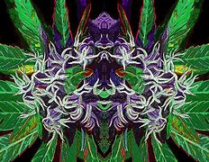 Image result for 420 drawing psychedelic
