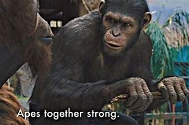Image result for Ape and Pig Together