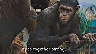 Image result for Apes Together Strong Wallpaper