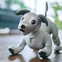 Image result for Sony Aibo Sitting
