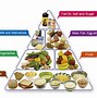 Image result for Different Types of Food Groups