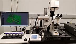 Image result for Two Photon Microscopy