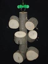 Image result for Stainless Parrot Toys