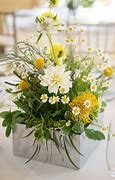 Image result for Yellow Flowers On Green Greetings