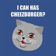 Image result for Cheezburger Cat Memes