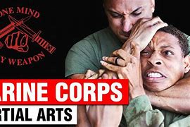 Image result for Marine Corps Martial Arts Program