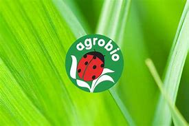 Image result for agrol�bico