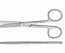 Image result for Blunt Point Scissors