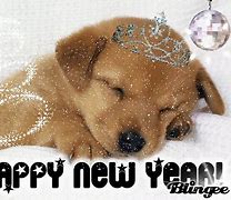 Image result for Dogs Saying Happy New Year