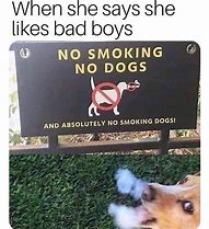 Image result for Dog Smoking Meme