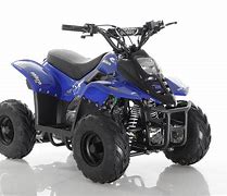 Image result for Blue Quad Bike