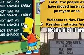 Image result for Everglades Florida Memes