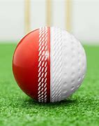 Image result for Reverse Swing Cricket