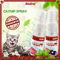 Image result for Organic Catnip Spray
