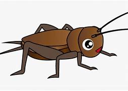Image result for Cricket Bug Cartoon