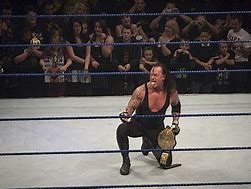 Image result for WWE Undertaker vs John Cena