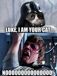 Image result for Star Wars Grumpy Cat Memes Funny