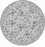 Image result for Black and White Color Blindness