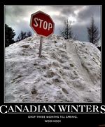 Image result for Canadian Winter Meme