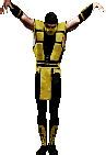 Image result for Mortal Kombat Fighting Styles