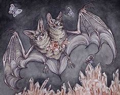 Image result for China Bats Paintings