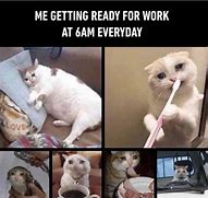 Image result for Ready to Work Meme Cat