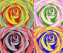 Image result for Pop Art Rose Painting