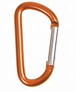 Image result for Locking Carabiner Clip