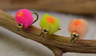 Image result for Bead Egg Fly